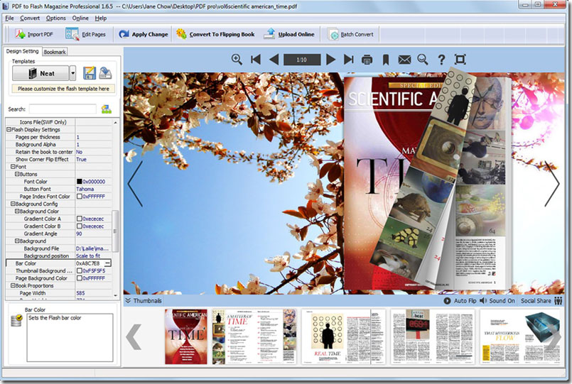 PDF to Flash Magazine Professional