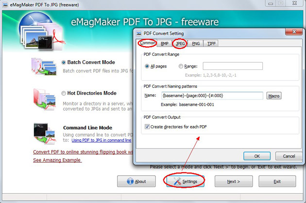 PDF Convert Setting