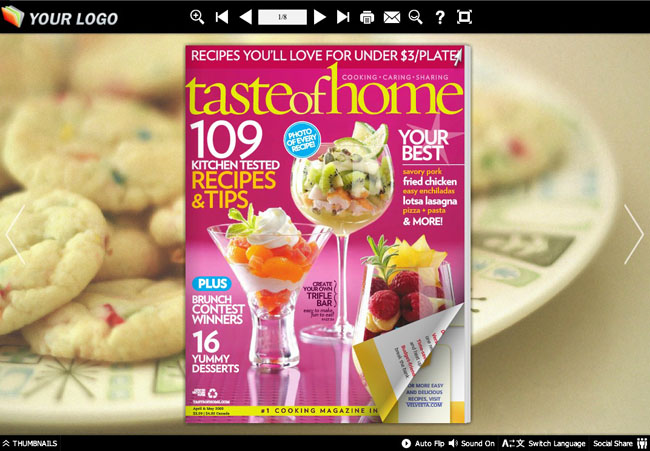 Flash Magazine Themes for Cookies Style 1.0 full