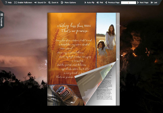 Flash Magazine Theme for Eruption Style screenshot Flash Magazine Theme for Eruption Style screenshot