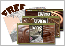Flash Magazine Theme Cover - Chocolate