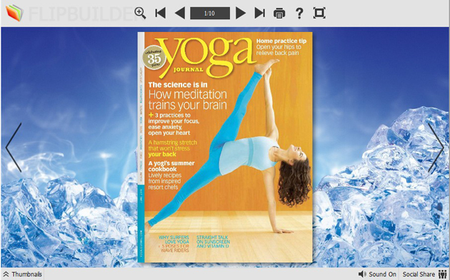 Flash Magazine Themes for Cool Ice Style screenshot Flash Magazine Themes for Cool Ice Style screenshot