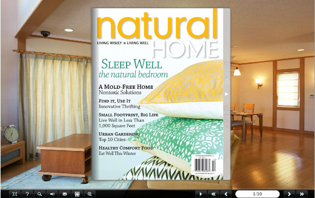 Flash Magazine Themes for Home Furnishing Style screenshot Flash Magazine Themes for Home Furnishing Style screenshot