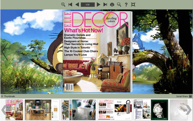 Flash Magazine Themes for Totoro Style screenshot
